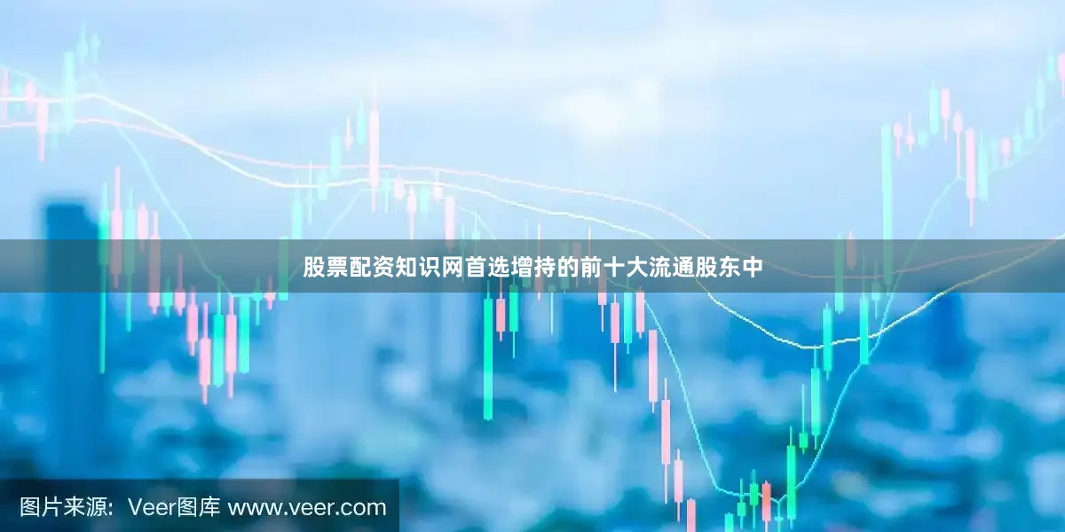 股票配资知识网首选增持的前十大流通股东中